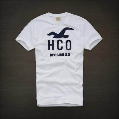 Hollister Men Shirts-338